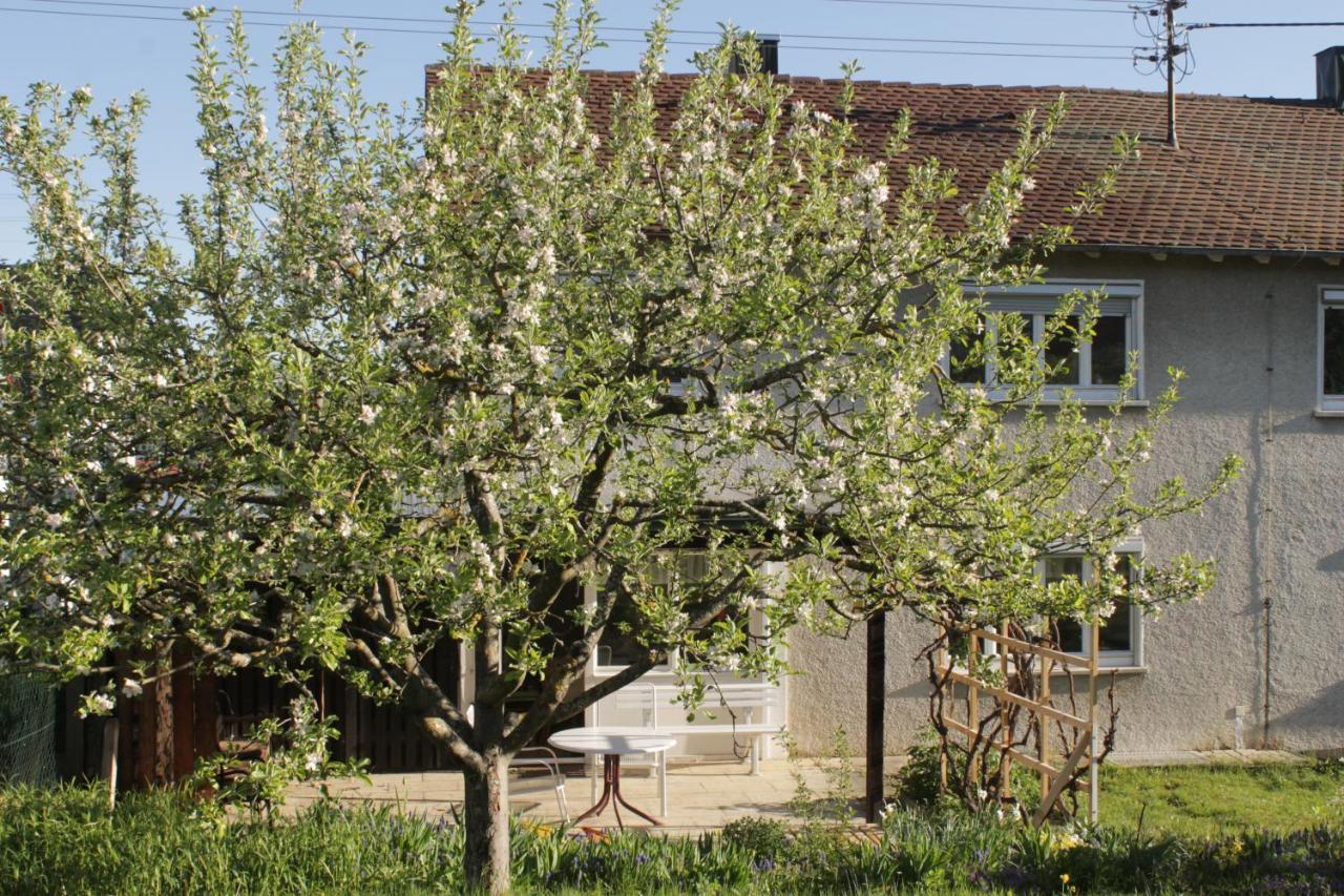 Ferienhaus Giengen Villa Giengen an der Brenz Bagian luar foto