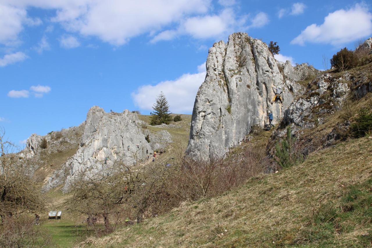 Ferienhaus Giengen Villa Giengen an der Brenz Bagian luar foto